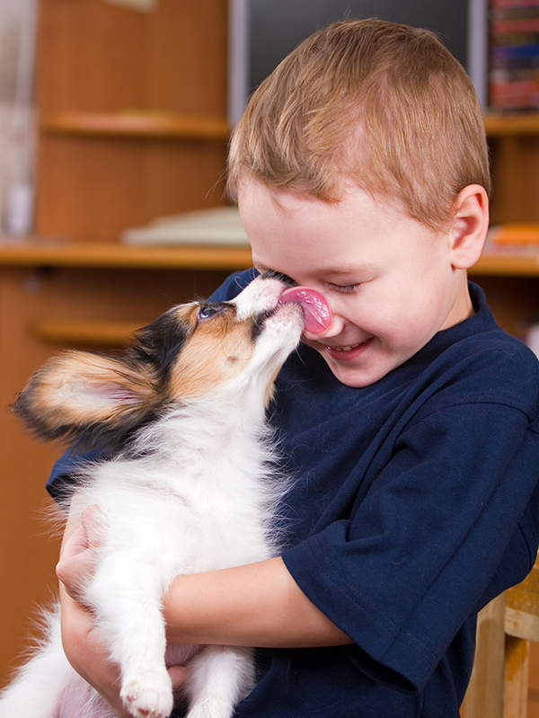 Image of a happy young boy with a Corgi puppy in his arms. The puppy is licking his face and the boy is smiling.