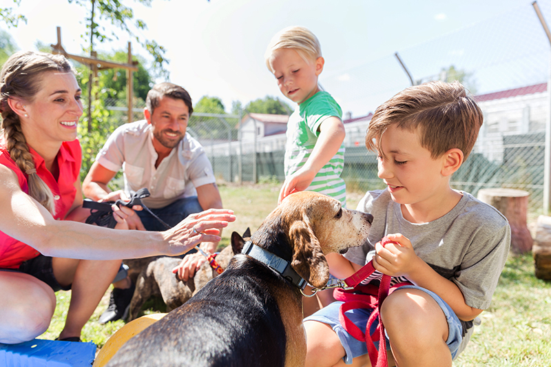 Image of a happy nuclear family outside in the kennel of an animal shelter. The mother and children are petting one dog and the father is petting a second dog.