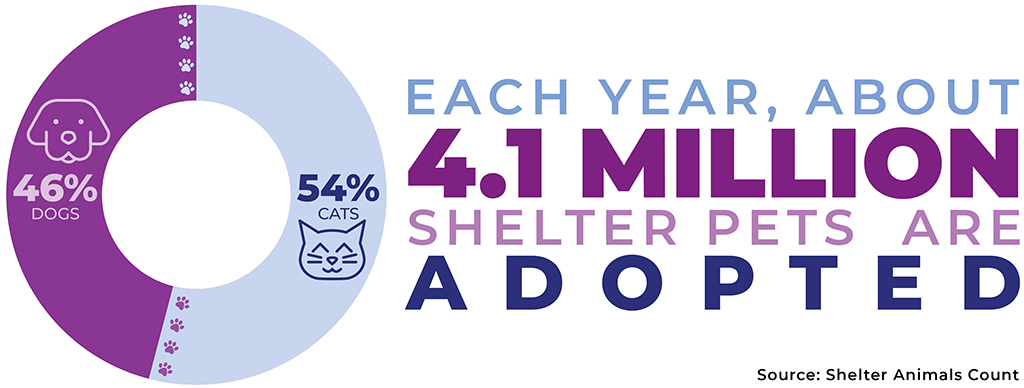 Graph showing each year, about 4.1 million shelter pets are adopted. 46% dogs and 54% cats.