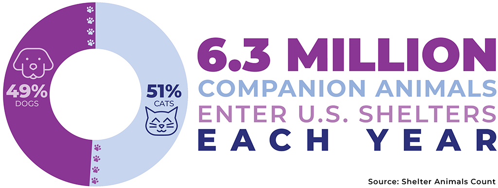 Graph: 6.3 million companion animals enter U.S. shelters each year. 49% dogs and 51% cats. Shelter Pets Rescue Fund